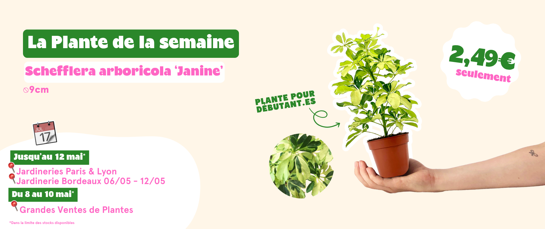 La nature s'invite chez vous